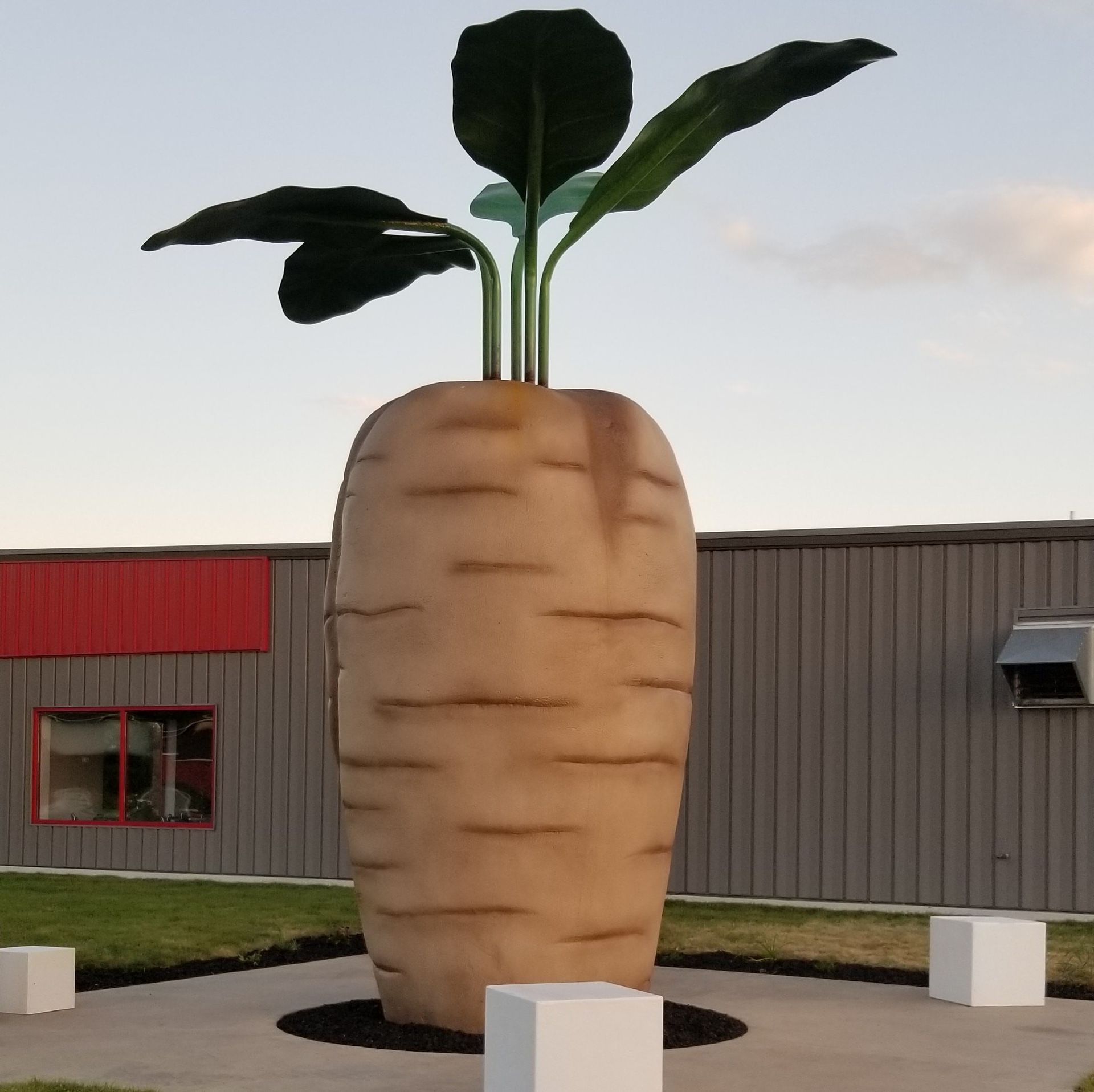 World's Largest Concrete Sugar Beet Sculpture, world record in Halstad, Minnesota