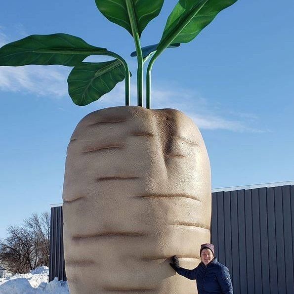 World's Largest Concrete Sugar Beet Sculpture, world record in Halstad, Minnesota