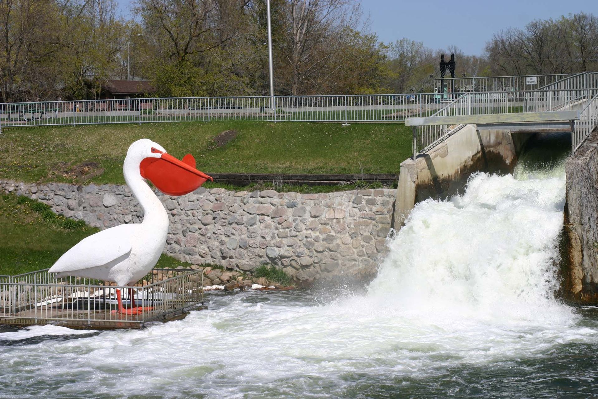 World's Largest Pelican Sculpture, world record in Pelican Rapids, Minnesota
