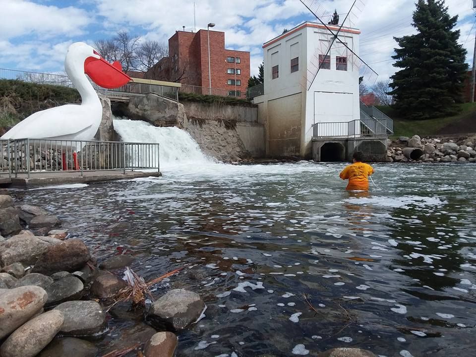 World's Largest Pelican Sculpture, world record in Pelican Rapids, Minnesota
