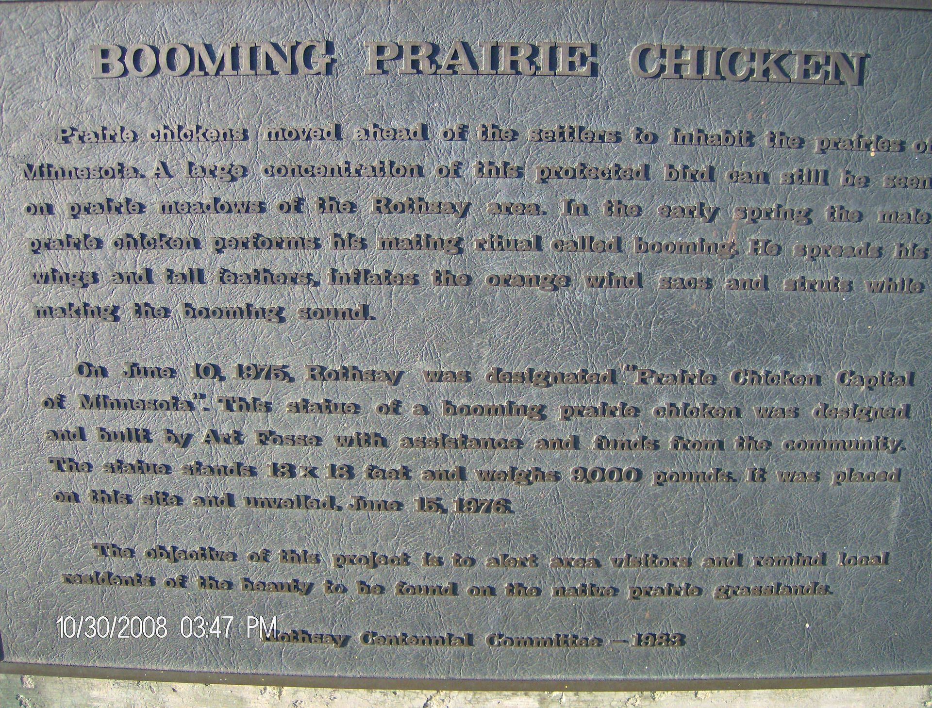 World's Largest Booming Prairie Chicken Sculpture, world record in Rothsay, Minnesota World's Largest Booming Prairie Chicken Sculpture, world record in Rothsay, Minnesota