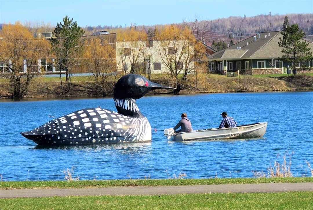 
World's Largest Floating Loon, world record on Silver Lake, Minnesota