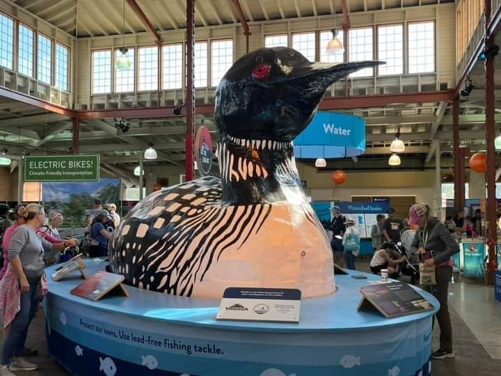World's Largest Floating Loon, world record on Silver Lake, Minnesota