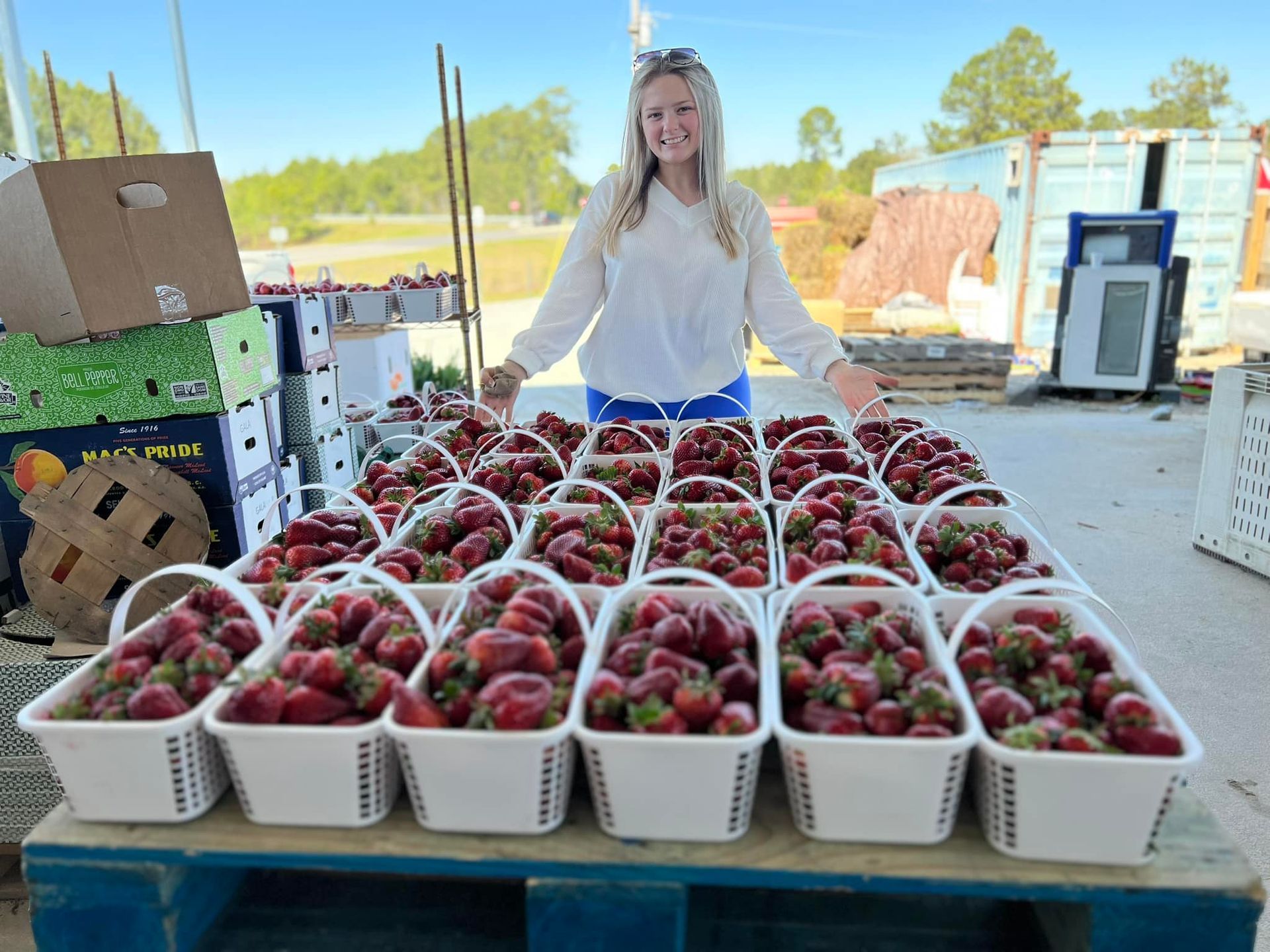 World's Largest Strawberry-shaped Building, world record in Ellerbe, North Carolina
