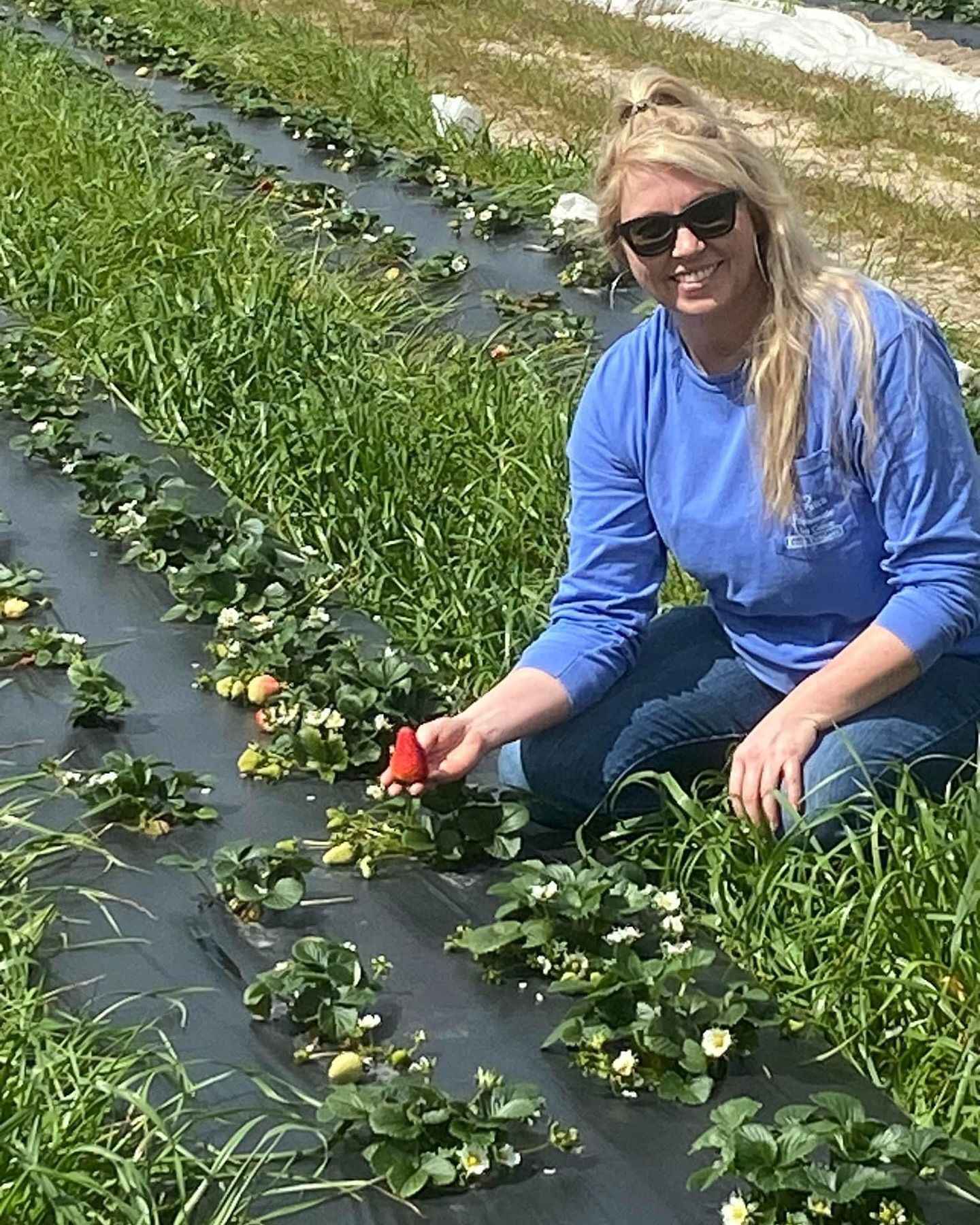 World's Largest Strawberry-shaped Building, world record in Ellerbe, North Carolina
