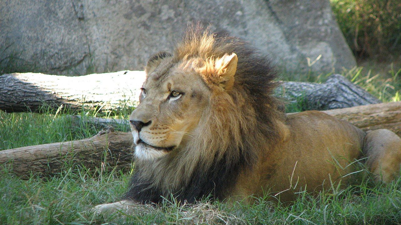 
World's Largest Natural Habitat Zoo, world record in Asheboro, North Carolina