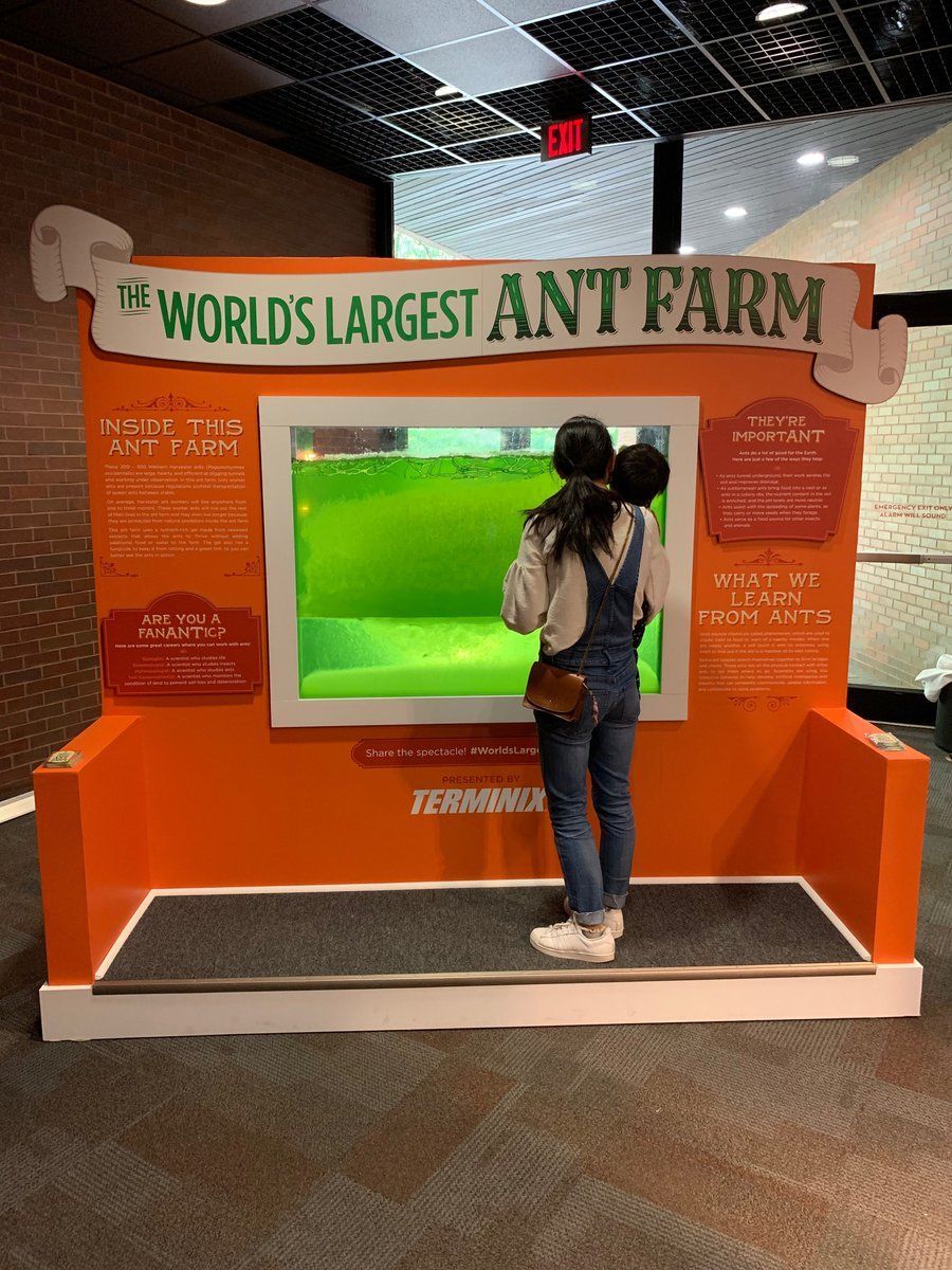 World’s Largest Ant Farm, world record in Charlotte, North Carolina