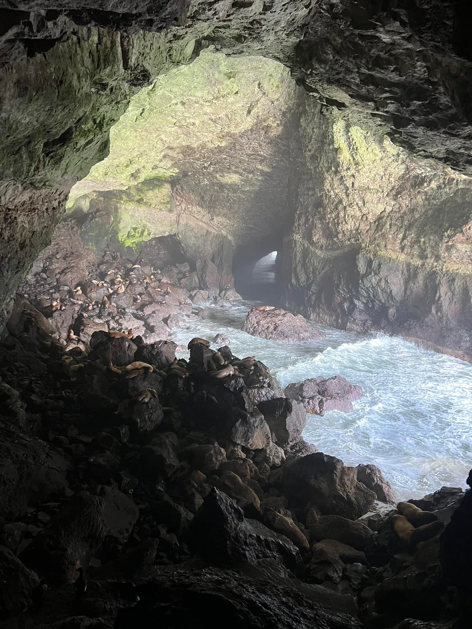 World's Largest Sea Cave, world record near Florence, Oregon