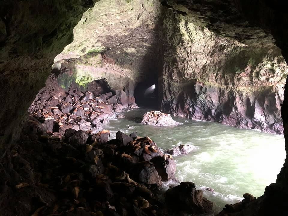 World's Largest Sea Cave, world record near Florence, Oregon