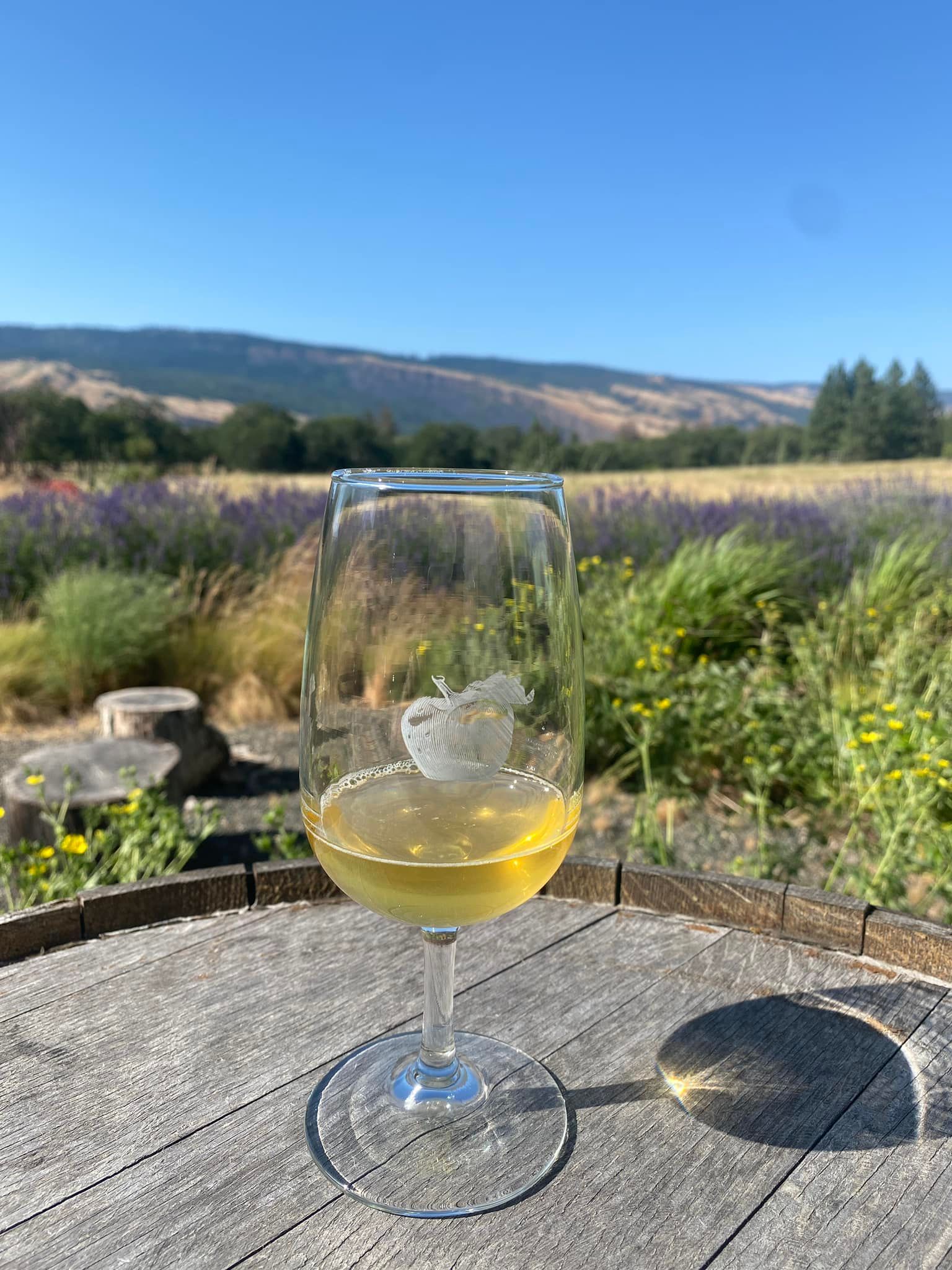 World’s Largest Cider Conference, world record in Portland, Oregon
