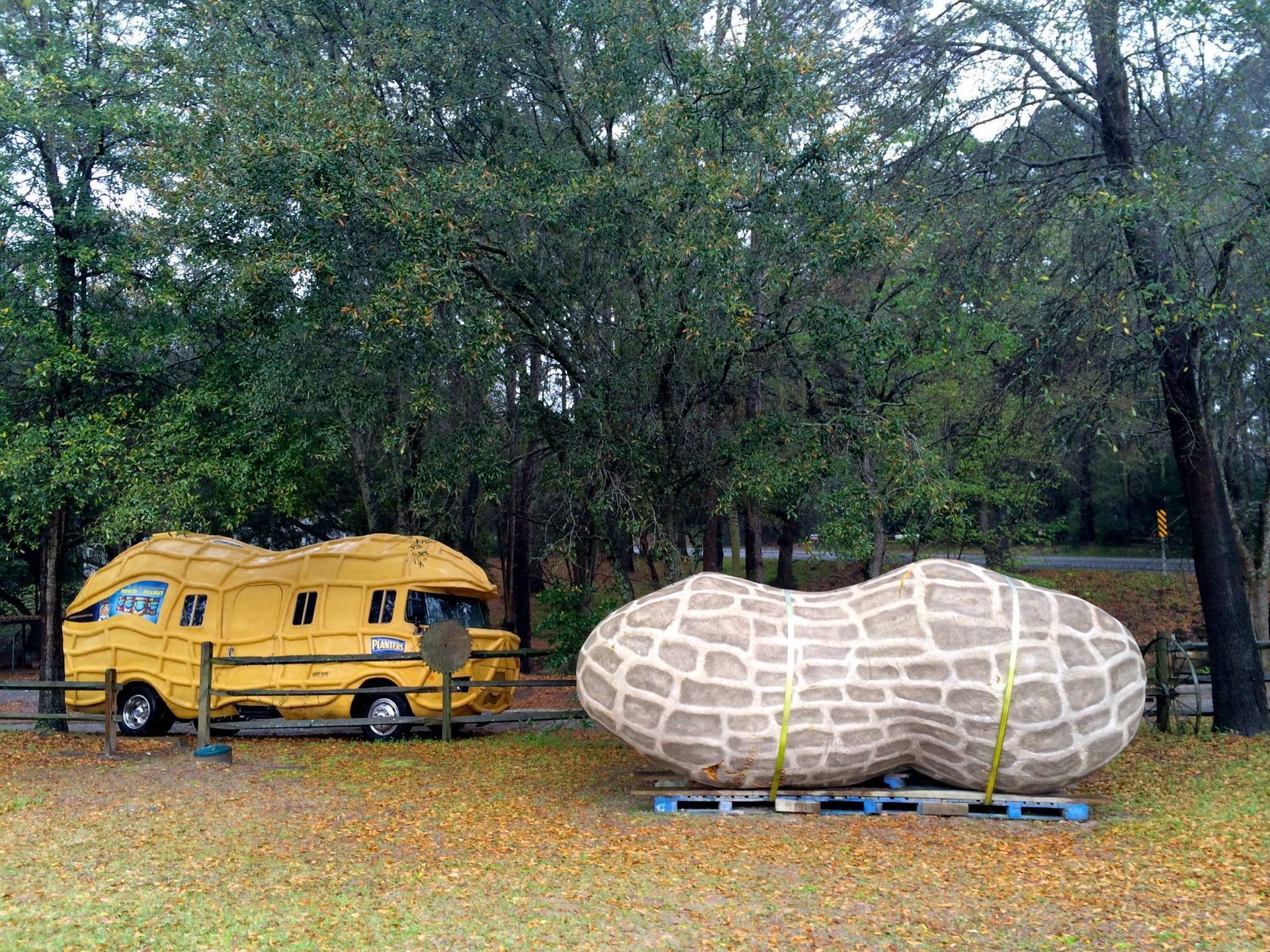 World’s Largest Boiled Peanut Sculpture, world record in Bluffton, South Carolina