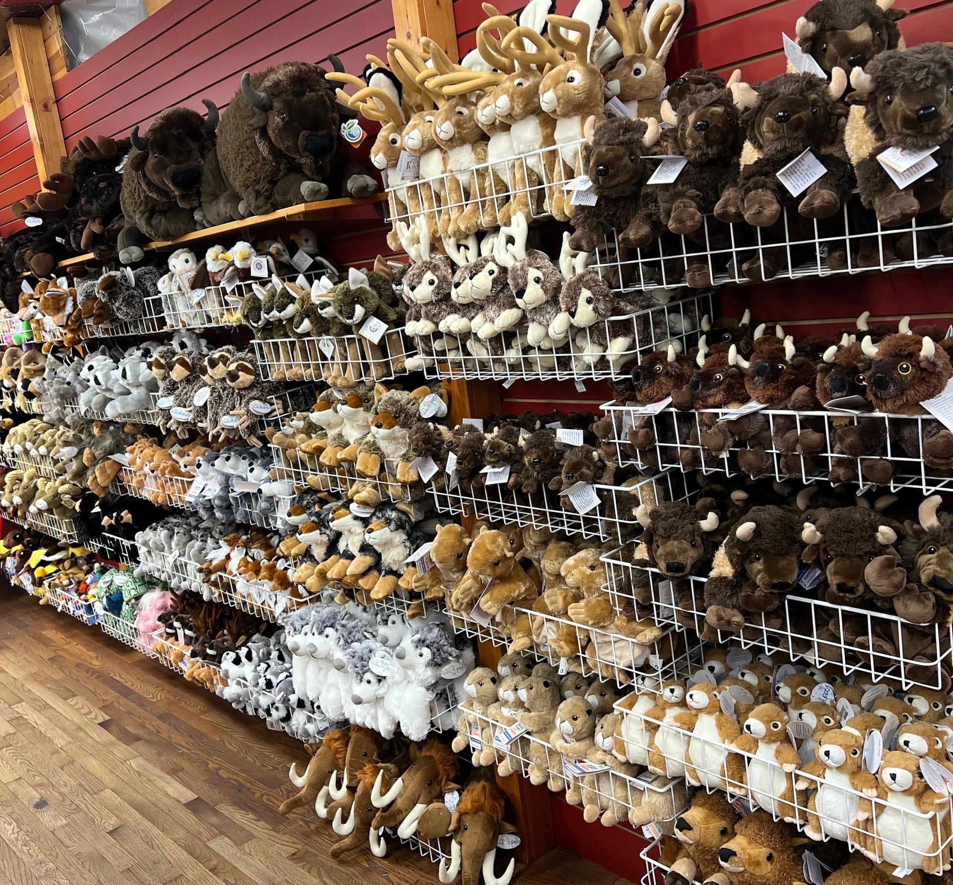 World's Largest Drug Store, world record in Wall, South Dakota