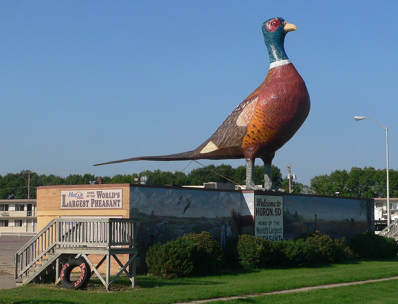 World's Largest Pheasant Sculpture, world record in Huron, South Dakota