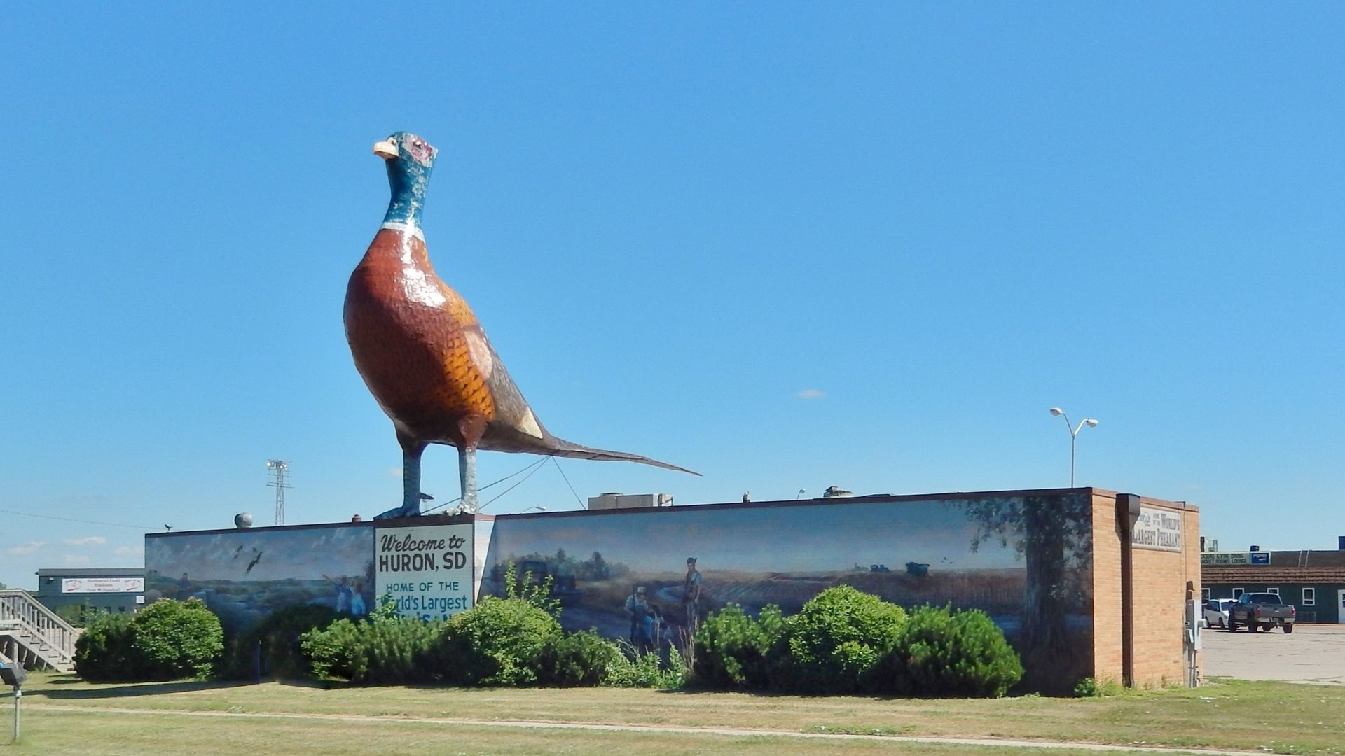 World's Largest Pheasant Sculpture, world record in Huron, South Dakota