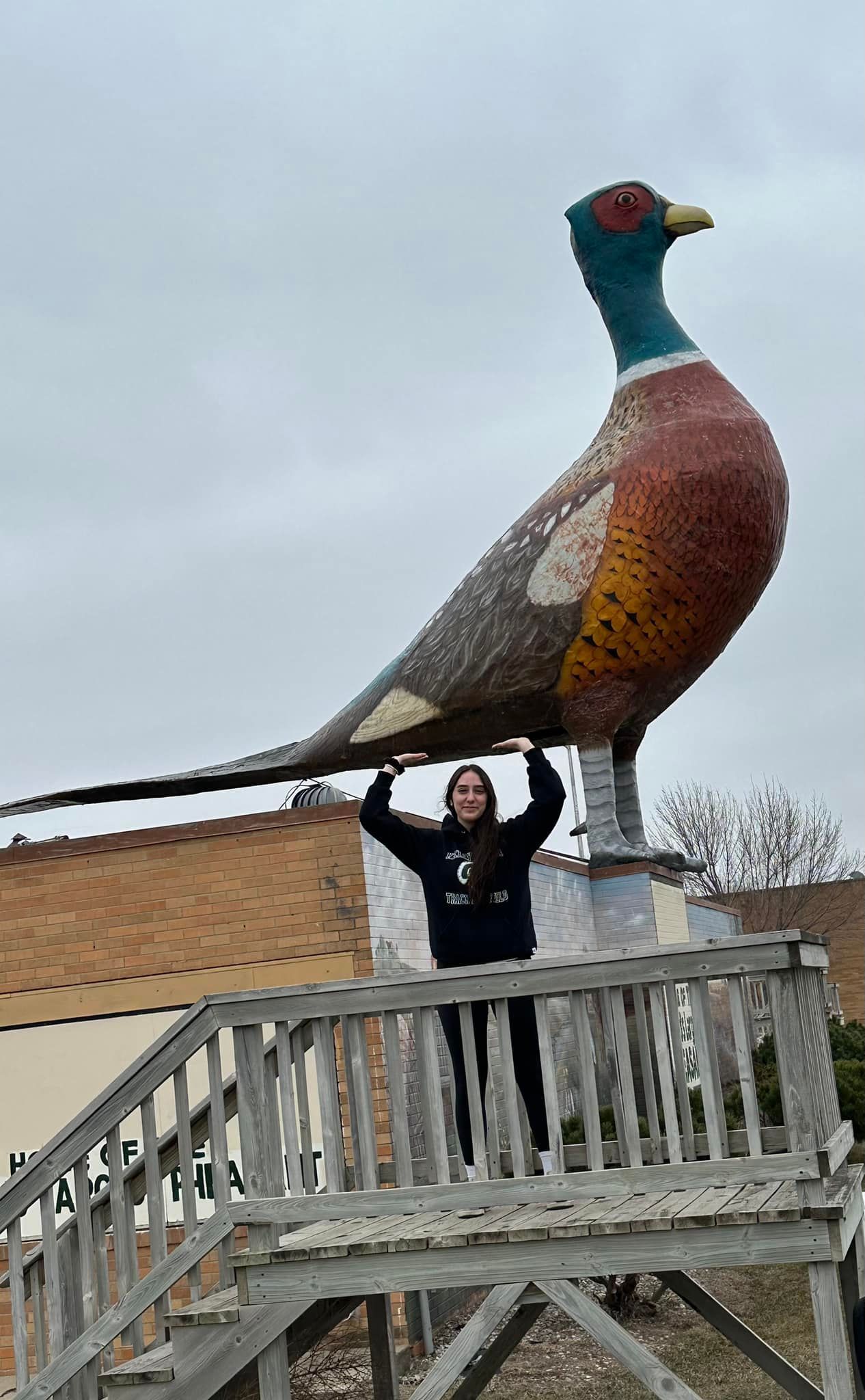 World's Largest Pheasant Sculpture, world record in Huron, South Dakota