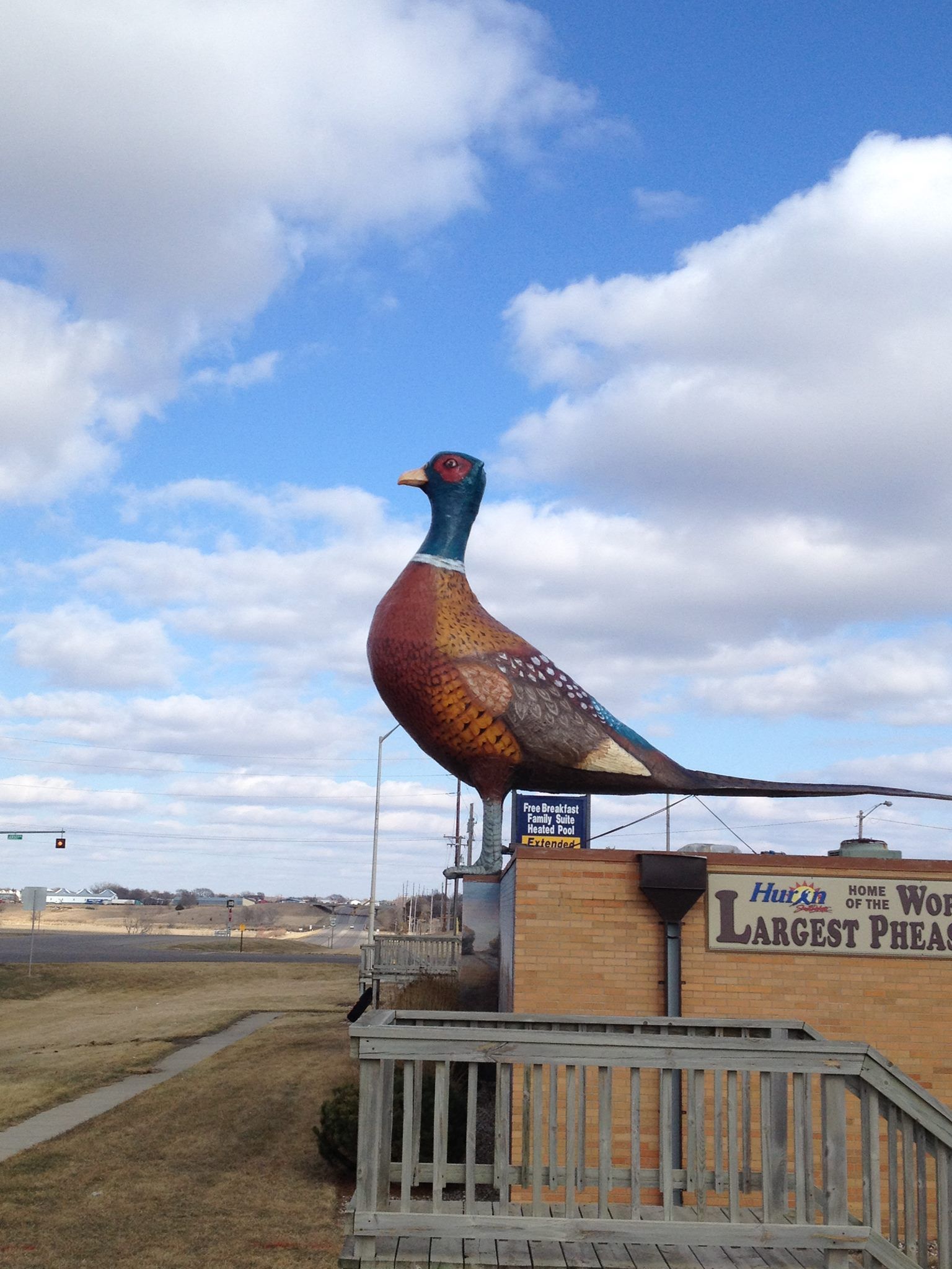 World's Largest Pheasant Sculpture, world record in Huron, South Dakota