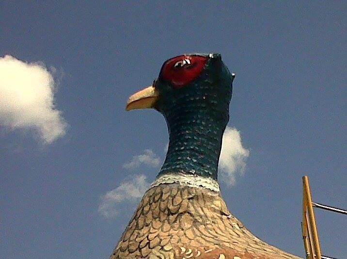 World's Largest Pheasant Sculpture, world record in Huron, South Dakota