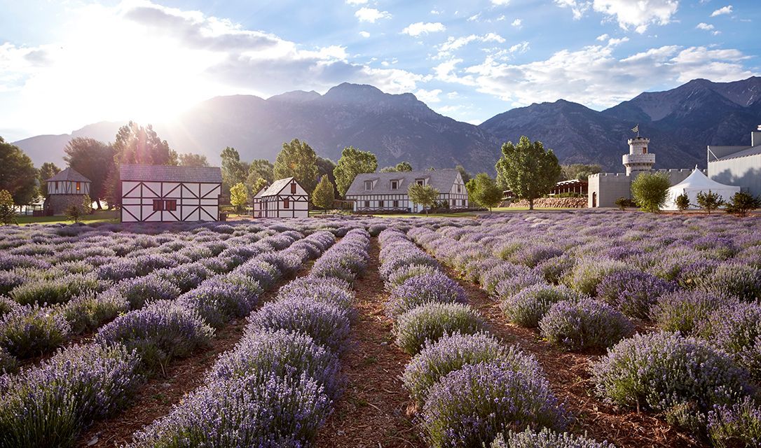 World's Largest Herb Farm & Distillery, world record in Mona, Utah