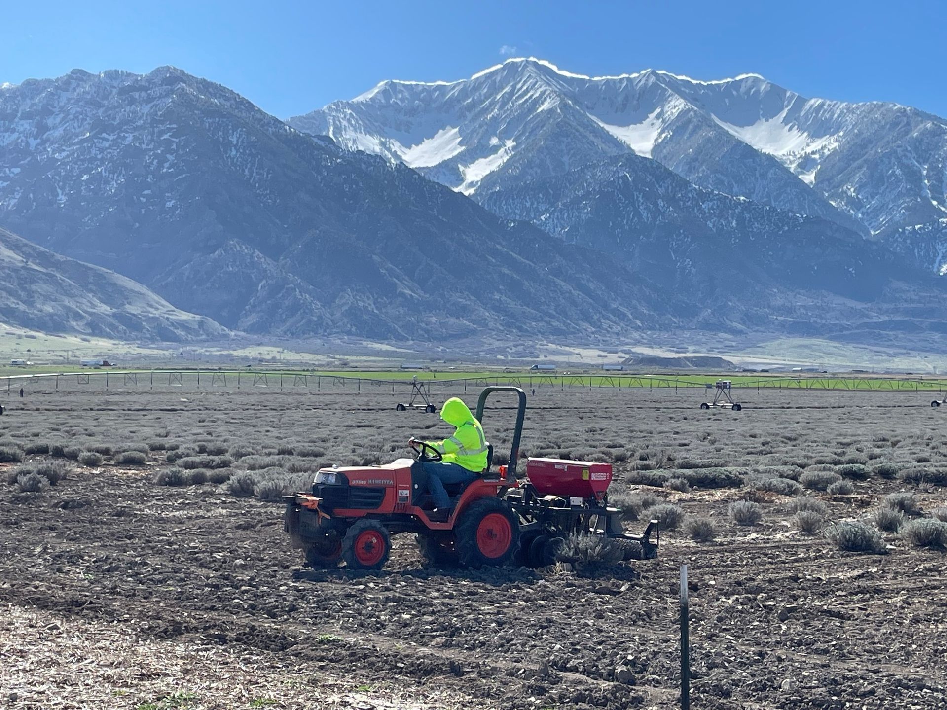 World's Largest Herb Farm & Distillery, world record in Mona, Utah