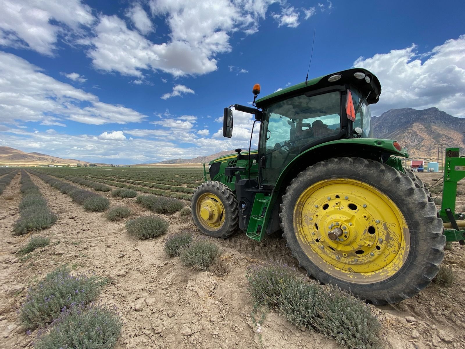 World's Largest Herb Farm & Distillery, world record in Mona, Utah