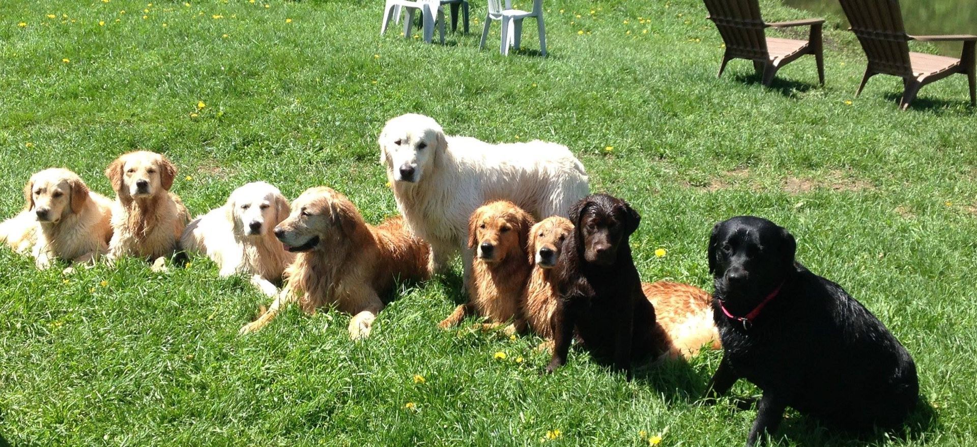 World's First Dog Chapel, world record in St. Johnsbury, Vermont World's First Dog Chapel, world record in St. Johnsbury, Vermont