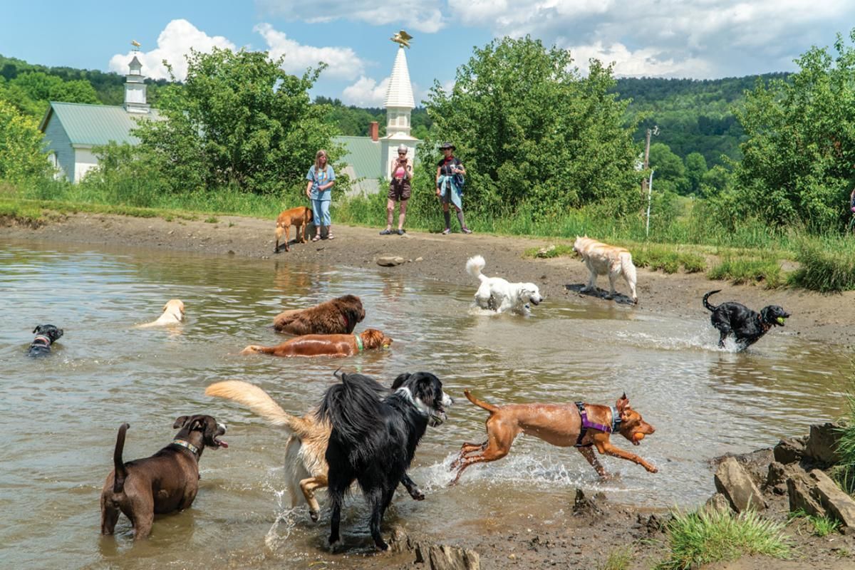 World's First Dog Chapel, world record in St. Johnsbury, Vermont World's First Dog Chapel, world record in St. Johnsbury, Vermont