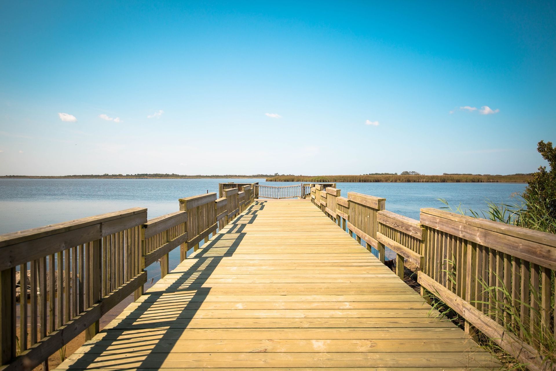 World's Largest Pleasure Beach, world record in Virginia Beach, Virginia