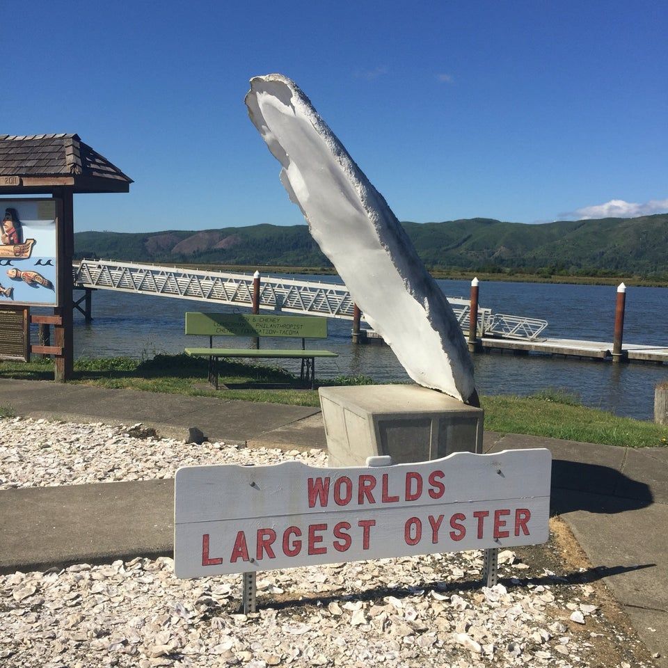 World’s Largest Oyster Sculpture, world record in South Bend, Washington World’s Largest Oyster Sculpture, world record in South Bend, Washington