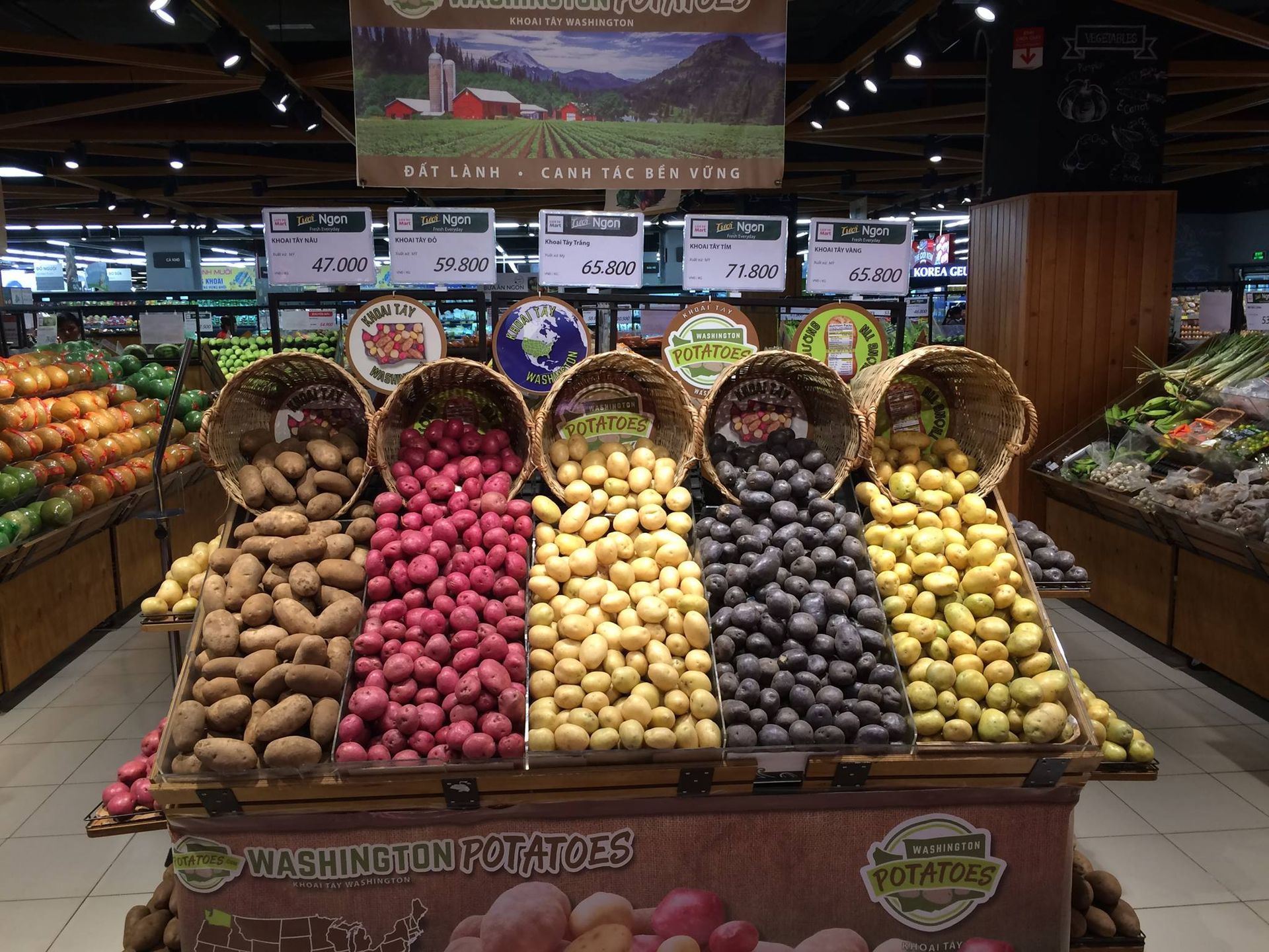 World's highest potato yield per acre, world record in Washington State World's highest potato yield per acre, world record in Washington State