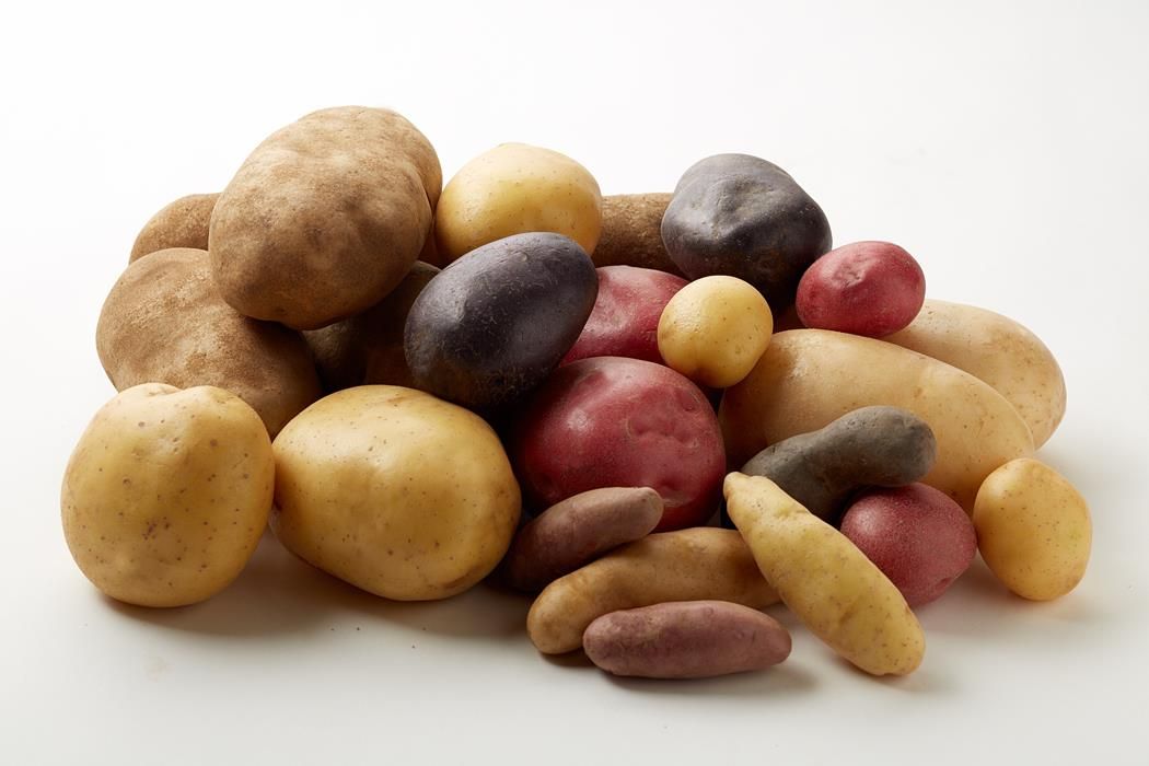 World's highest potato yield per acre, world record in Washington State World's highest potato yield per acre, world record in Washington State