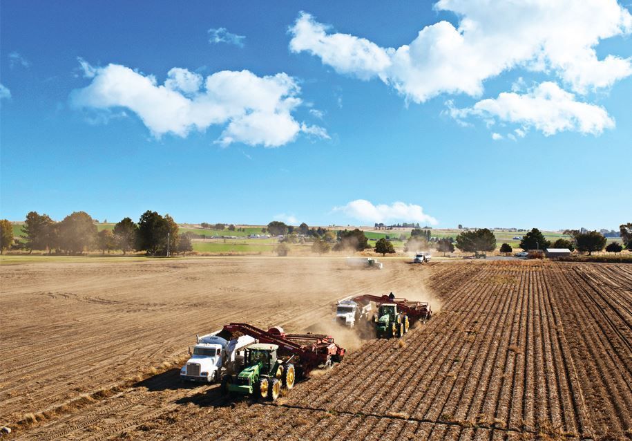World's highest potato yield per acre, world record in Washington State World's highest potato yield per acre, world record in Washington State