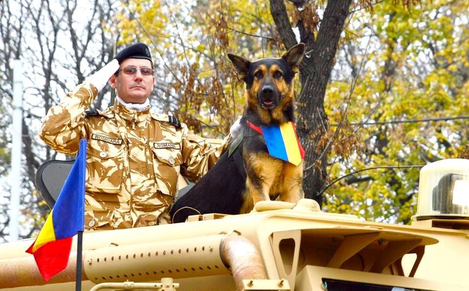 The Hero Dog with the most participation in a National Day parade: Max the Hero Dog The Hero Dog with the most participation in a National Day parade: Max the Hero Dog