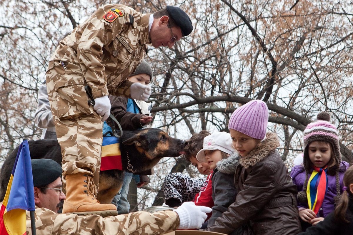 The Hero Dog with the most participation in a National Day parade: Max the Hero Dog The Hero Dog with the most participation in a National Day parade: Max the Hero Dog