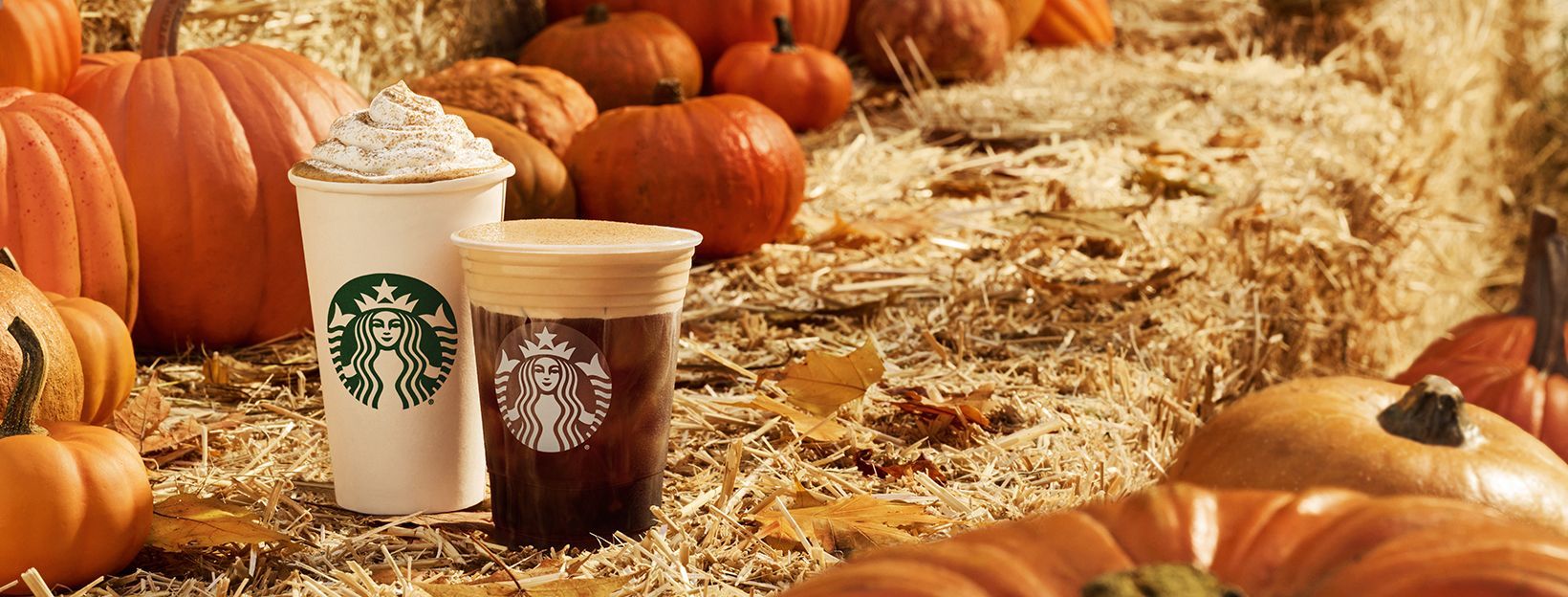 World's Largest Coffeehouse Chain, world record set by Starbucks World's Largest Coffeehouse Chain, world record set by Starbucks
