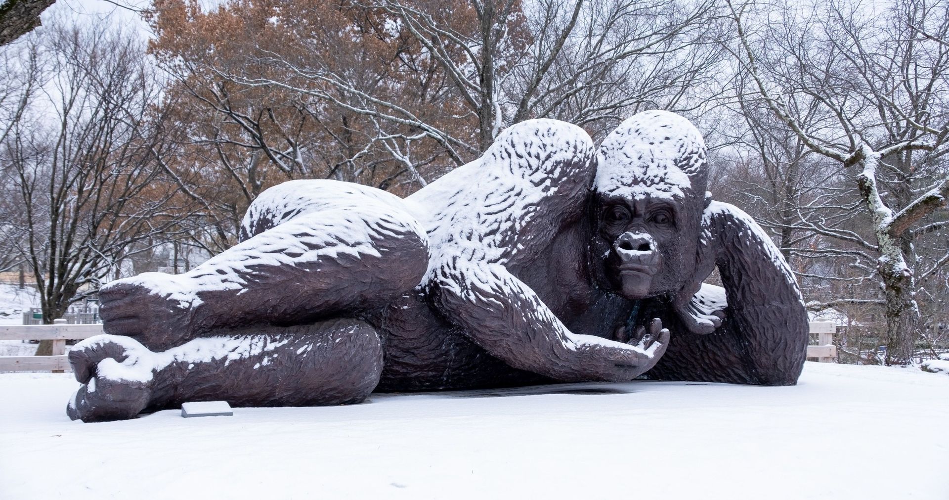 World’s Largest Bronze Gorilla Sculpture, world record set in Greenwich, Connecticut