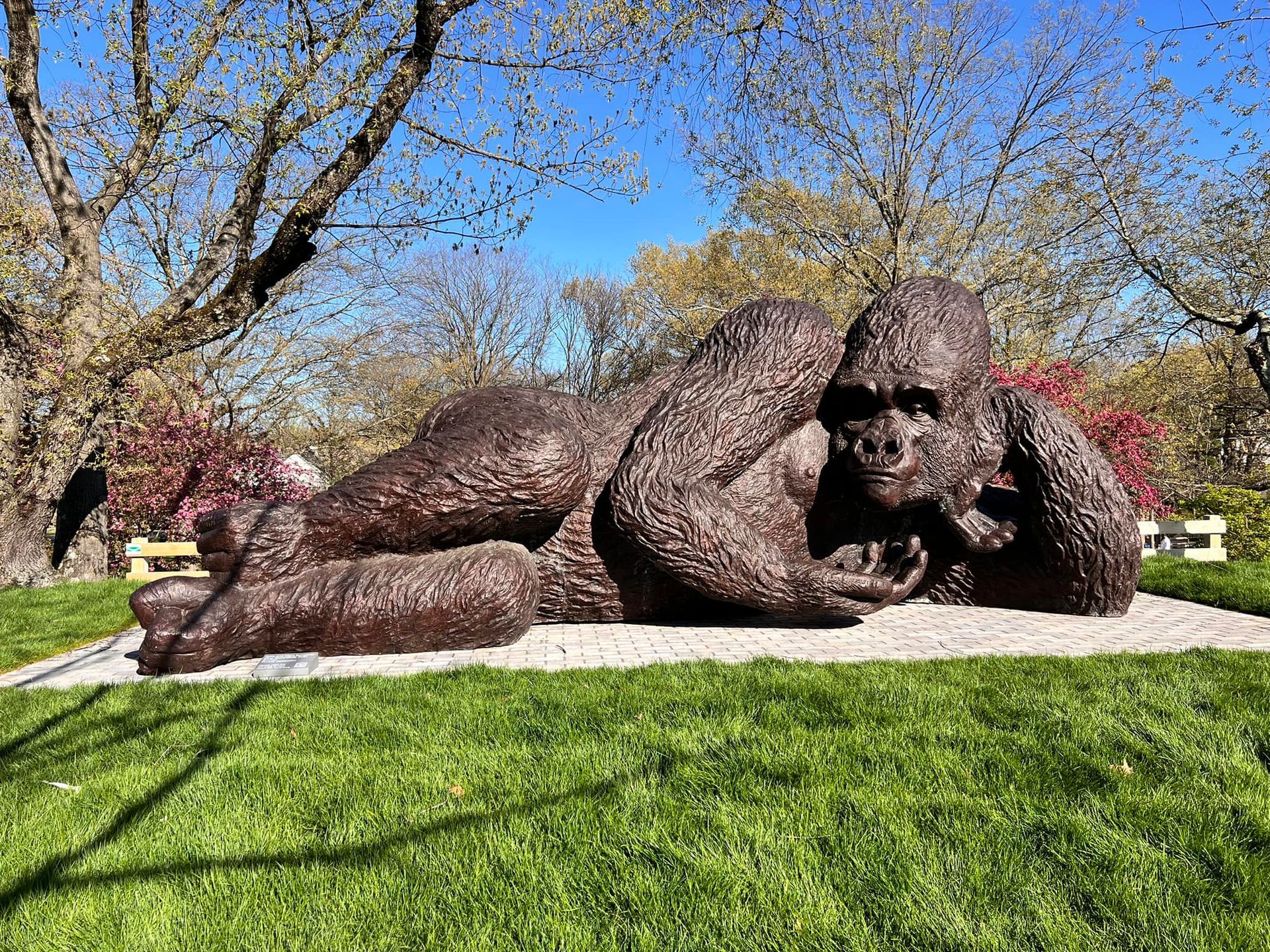 World’s Largest Bronze Gorilla Sculpture, world record set in Greenwich, Connecticut