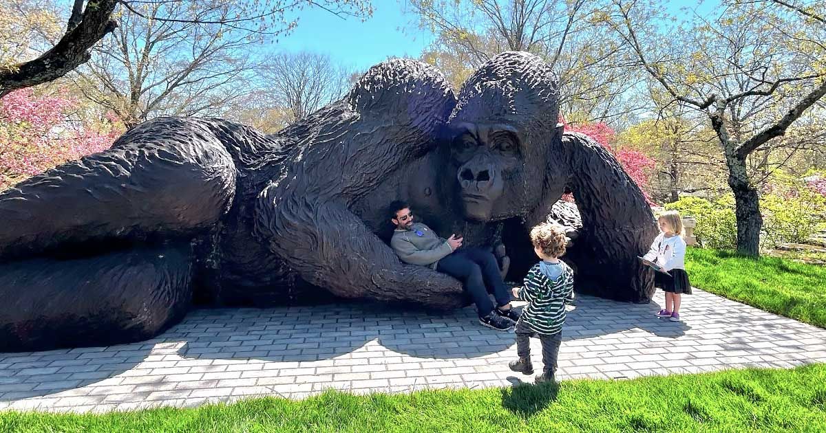 World’s Largest Bronze Gorilla Sculpture, world record set in Greenwich, Connecticut