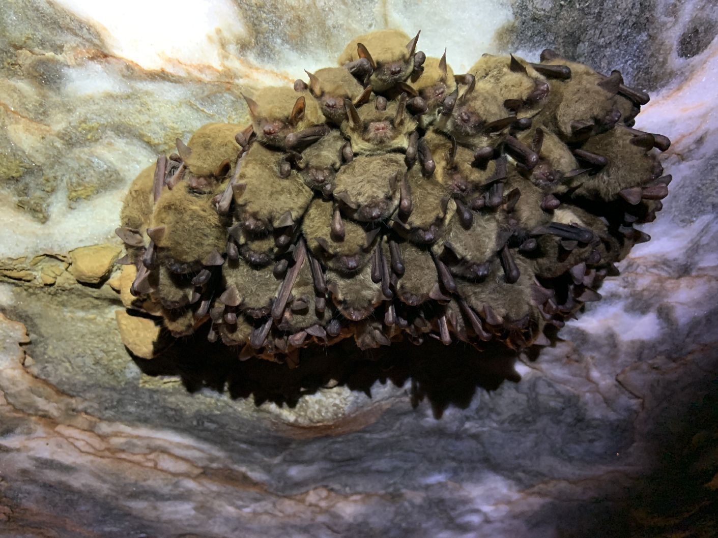 World's Largest Natural Gypsum Cave Open to The Public, world record near Freedom, Oklahoma