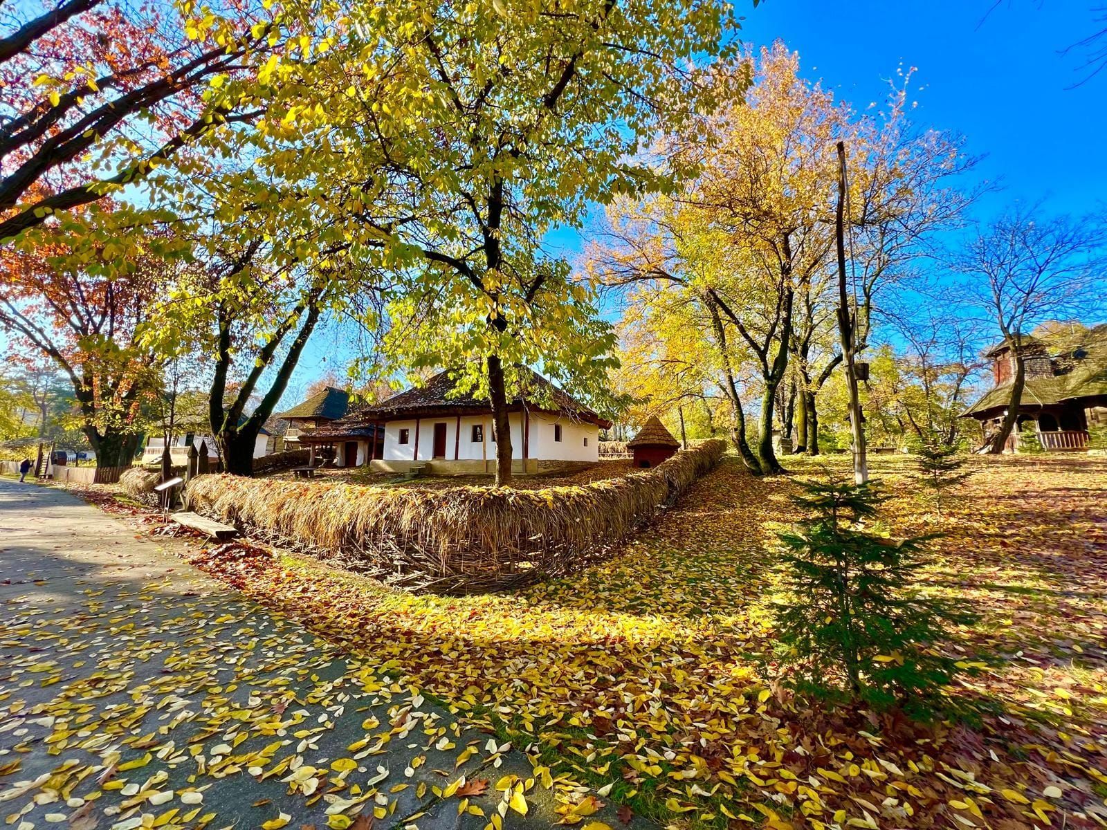 World's Largest Village Museum, world record set in Bucharest, Romania
