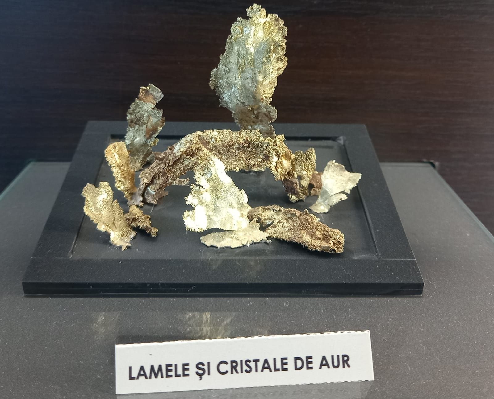 World's Most Valuable 4,5 kg of Native Gold, The Gold Museum in Brad, Romania sets world record
