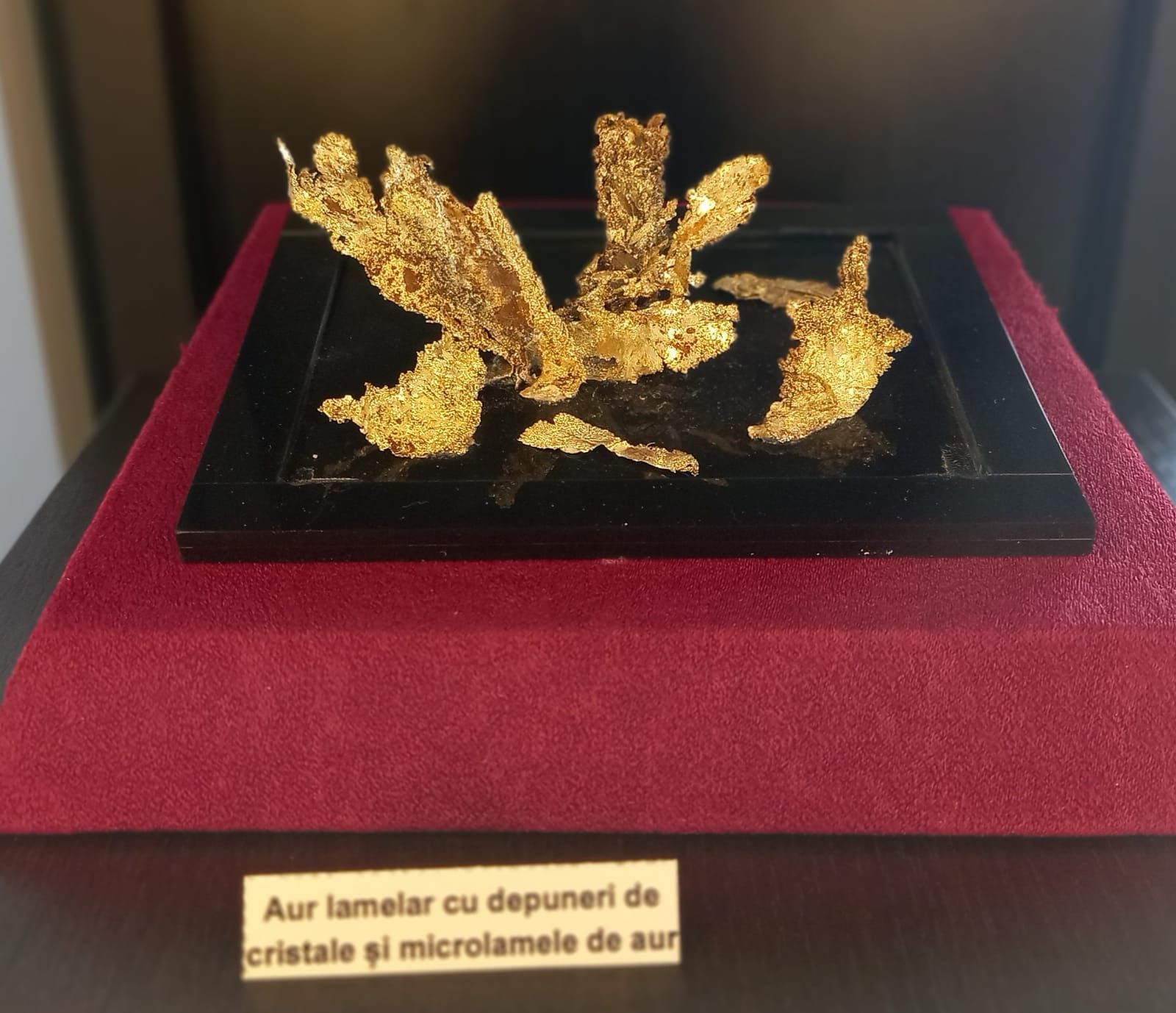 World's Most Valuable 4,5 kg of Native Gold, The Gold Museum in Brad, Romania sets world record