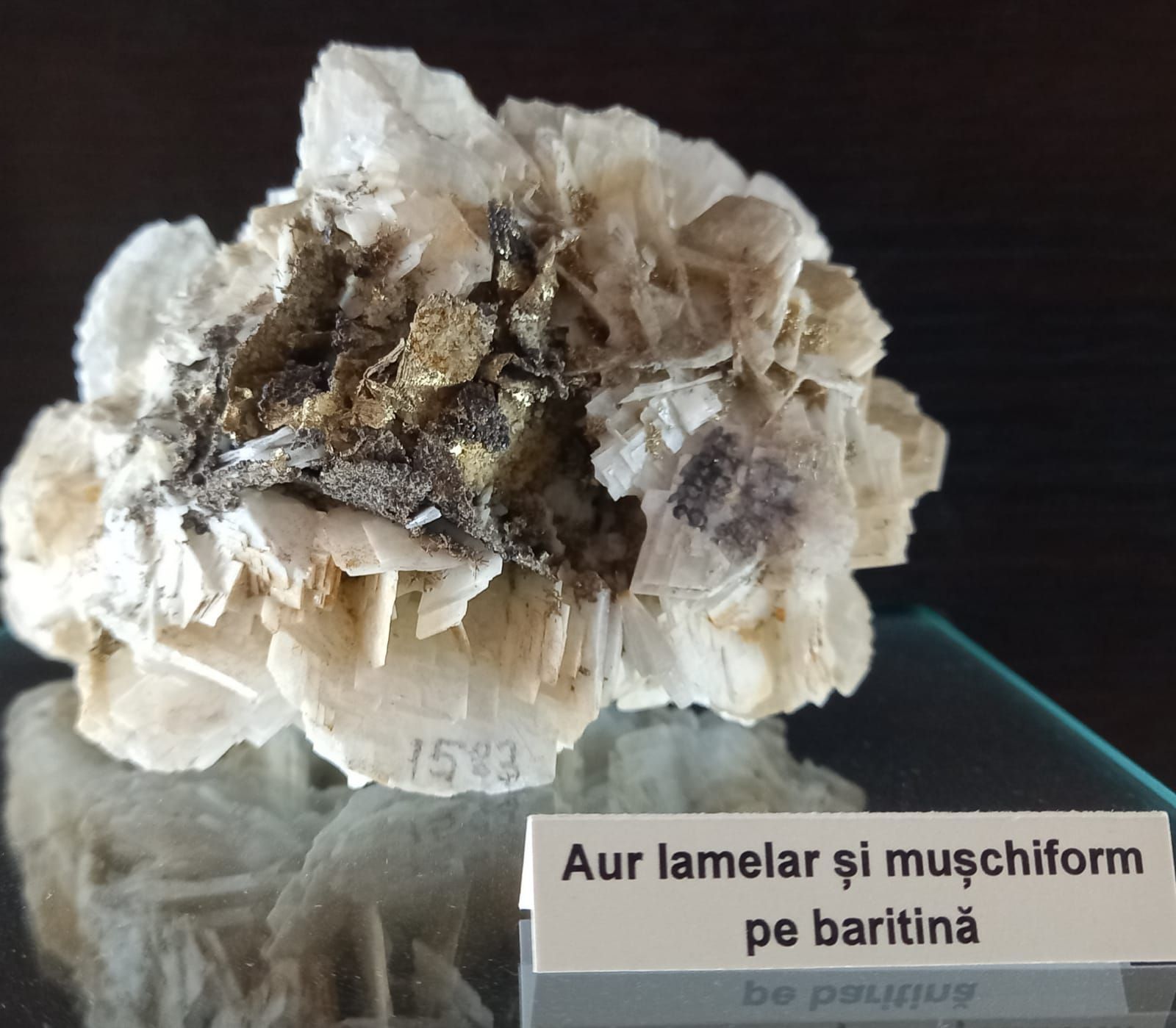 World's Most Valuable 4,5 kg of Native Gold, The Gold Museum in Brad, Romania sets world record