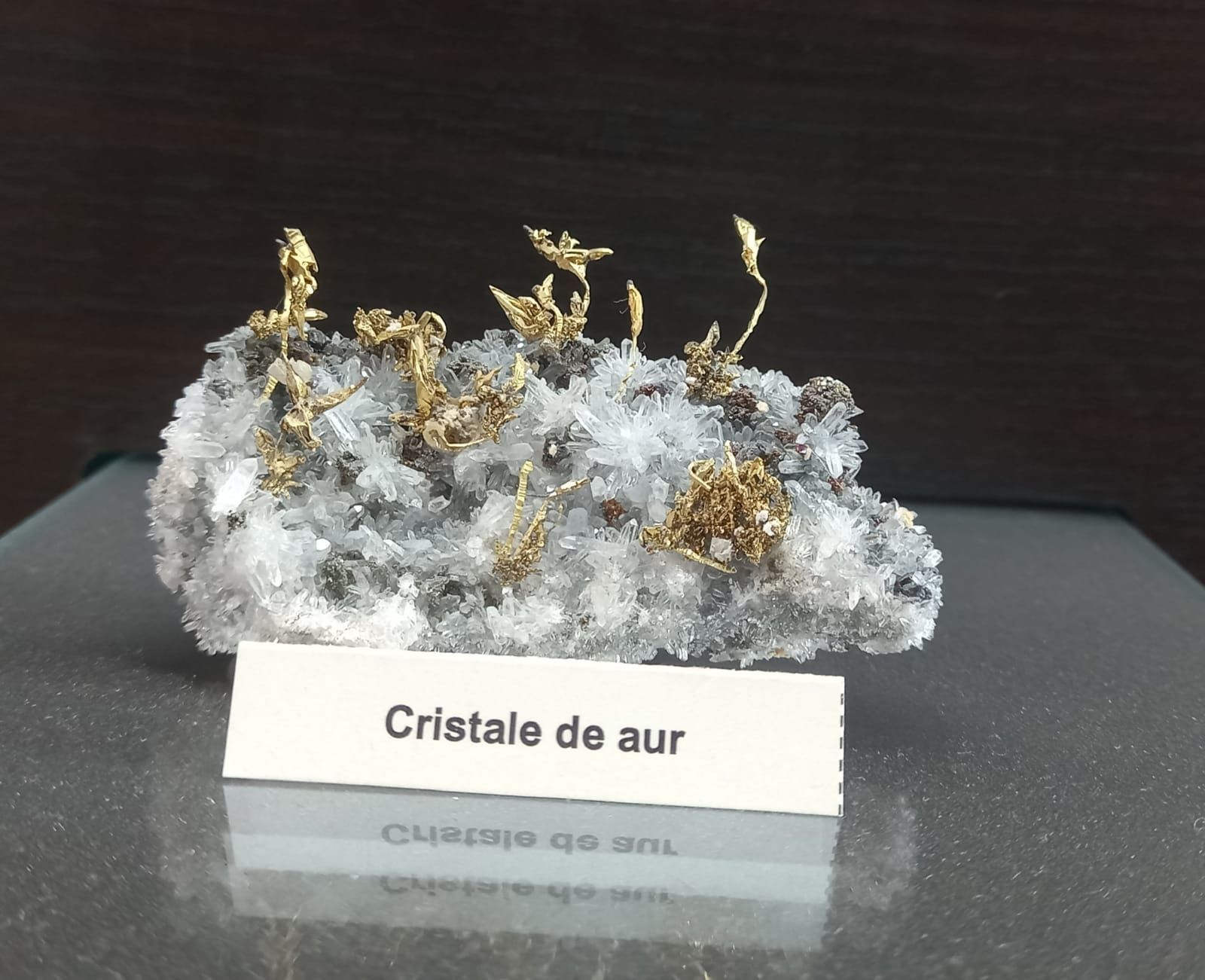 World's Most Valuable 4,5 kg of Native Gold, The Gold Museum in Brad, Romania sets world record