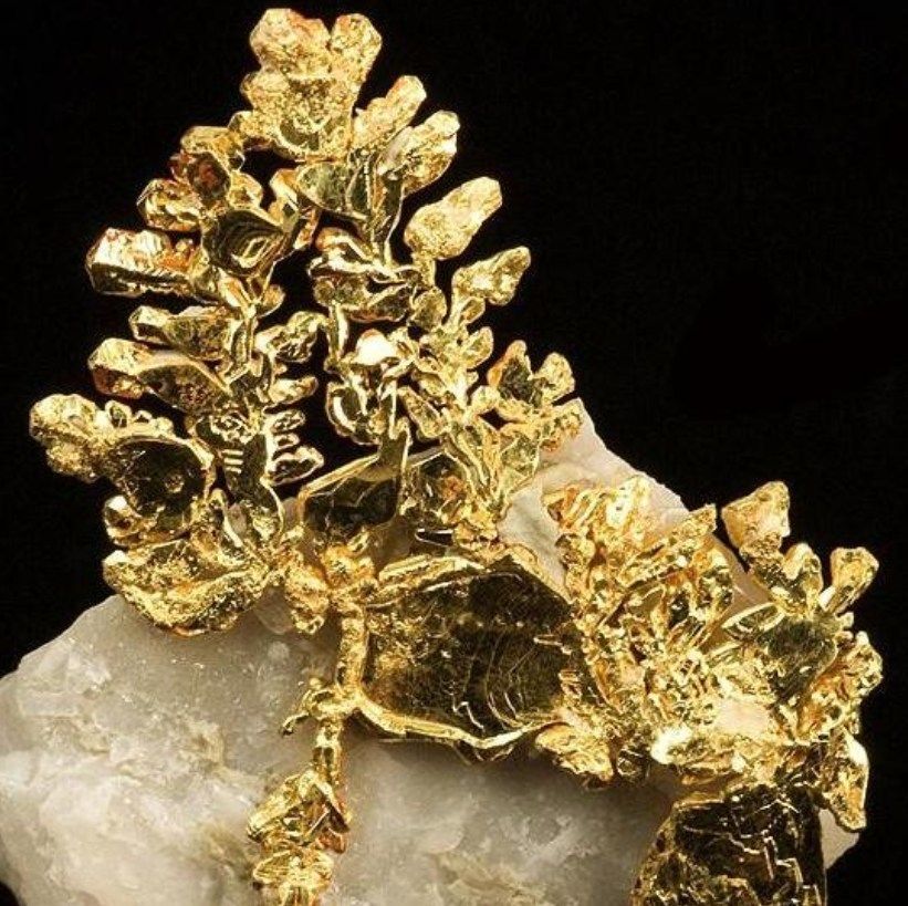 World's Most Valuable 4,5 kg of Native Gold, The Gold Museum in Brad, Romania sets world record
