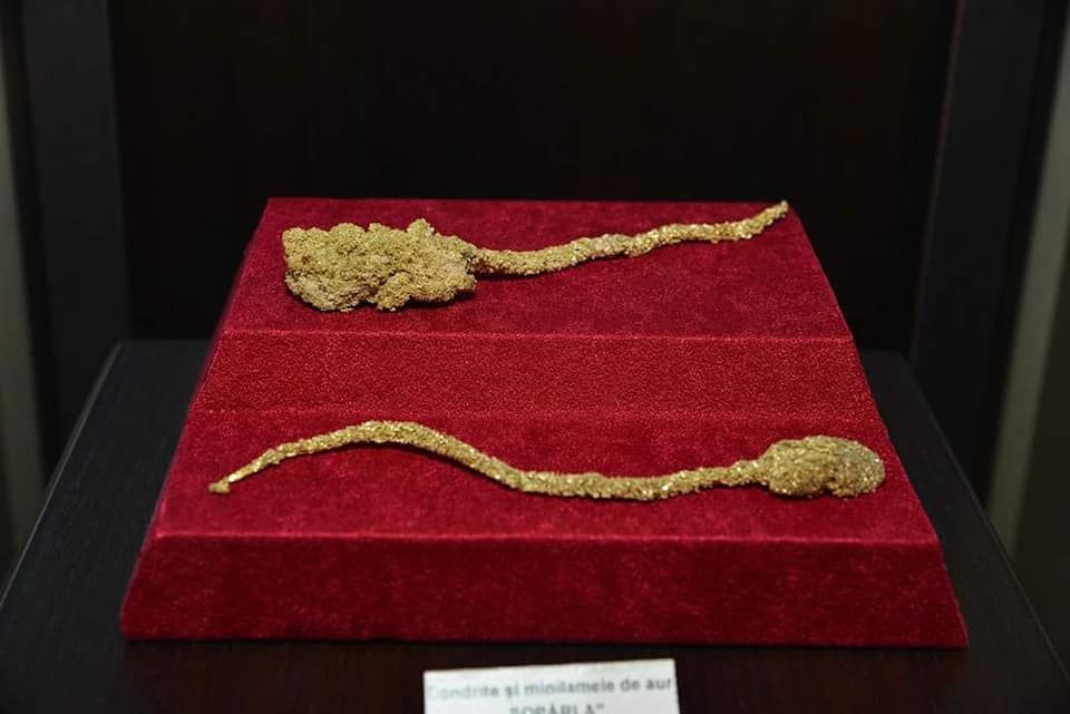 World's Most Valuable 4,5 kg of Native Gold, The Gold Museum in Brad, Romania sets world record
