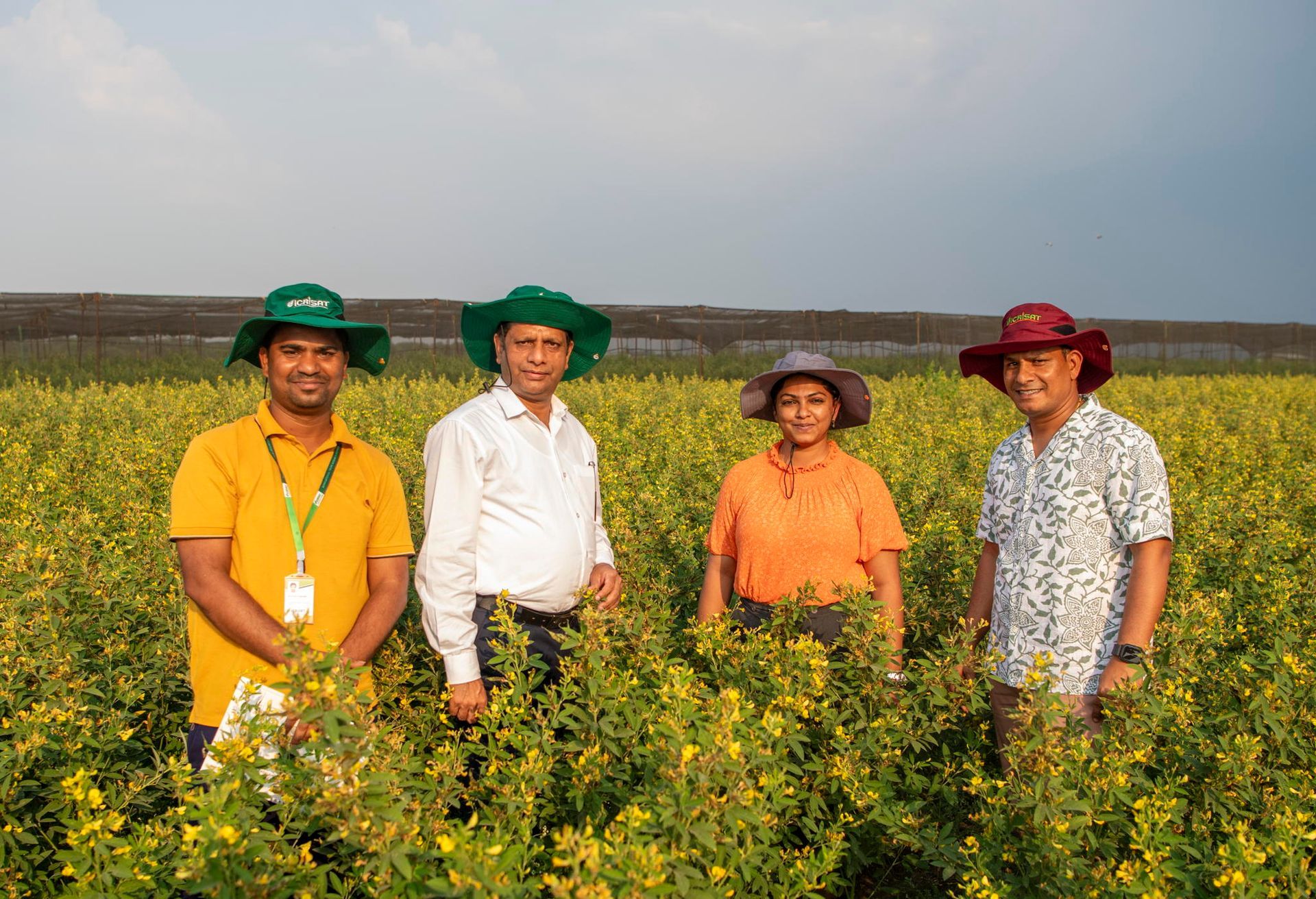 World’s First Heat-resilient Pigeon Pea, India sets world  record
