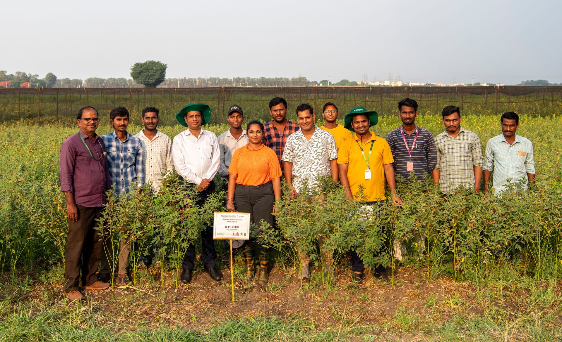 World’s First Heat-resilient Pigeon Pea, India sets world  record
