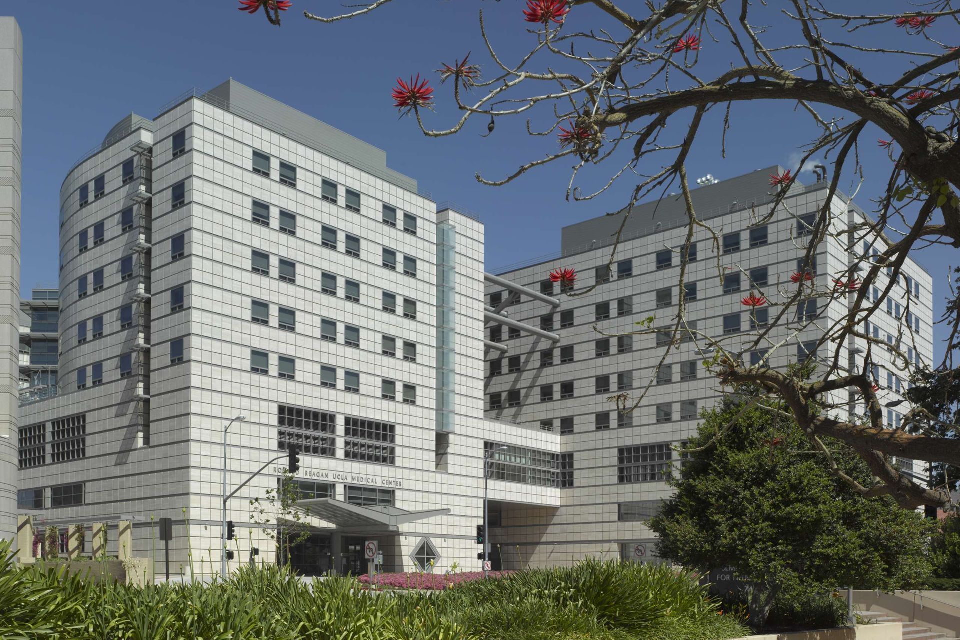 World's First Human Bladder Transplant, world record set in Los Angeles, California