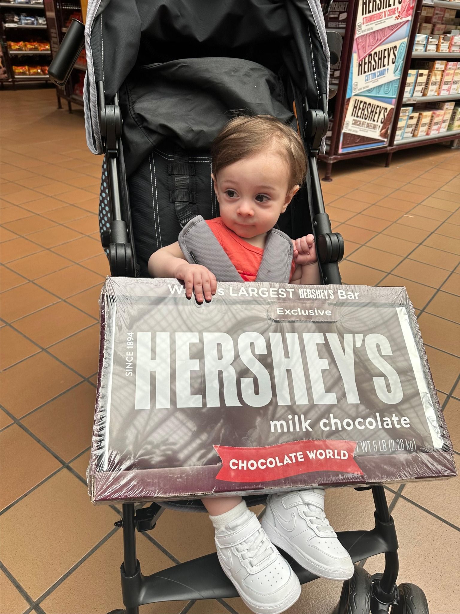 World's Largest Hershey's Bar: Hershey's 5lb Candy Bar sets world record World's Largest Hershey's Bar: Hershey's 5lb Candy Bar sets world record