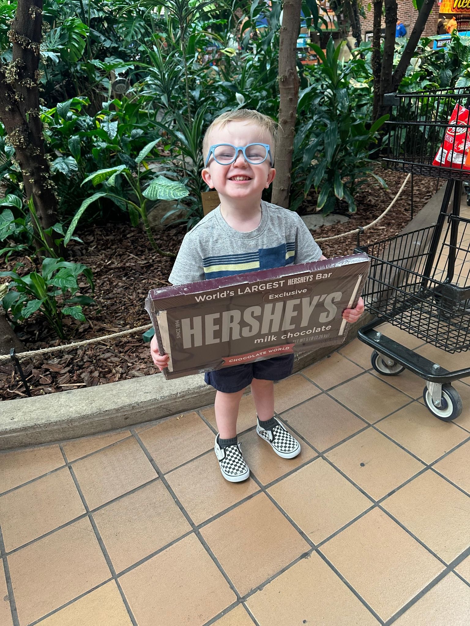 World's Largest Hershey's Bar: Hershey's 5lb Candy Bar sets world record World's Largest Hershey's Bar: Hershey's 5lb Candy Bar sets world record
